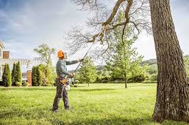 Best Hedge Trimming  in Munising, MI