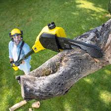 Best Lawn Pest Prevention  in Munising, MI